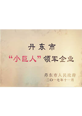 2017丹東市“小巨人”領軍企業(yè)