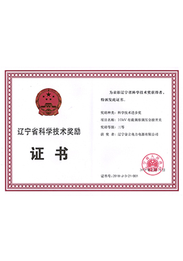 2019遼寧省科學(xué)技術(shù)三等獎(jiǎng)