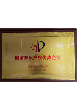 2022-2025國(guó)家知識(shí)產(chǎn)權(quán)優(yōu)勢(shì)企業(yè)